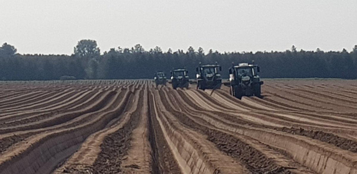 Ed Cross tweet media