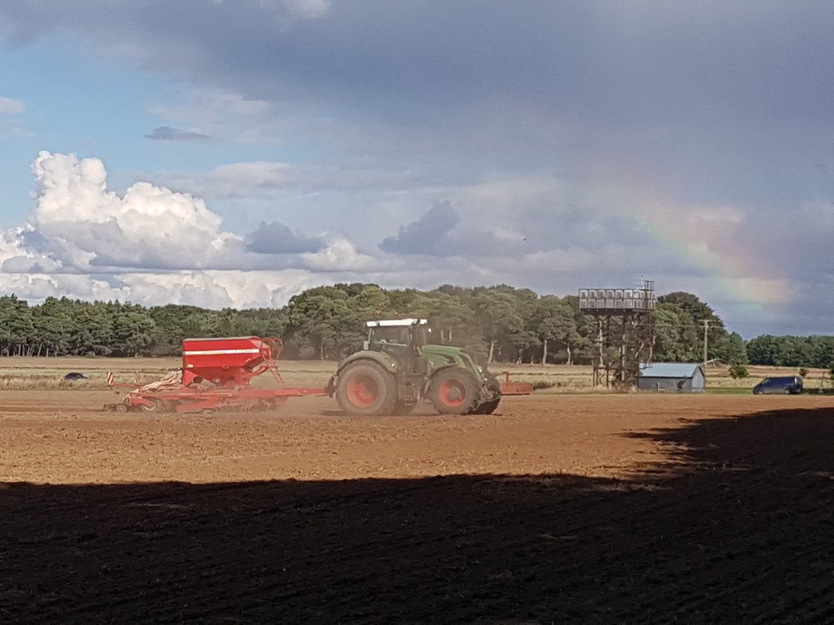 Ed Cross tweet media