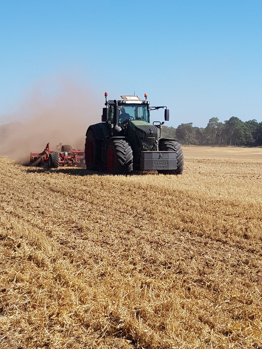 Ed Cross tweet media