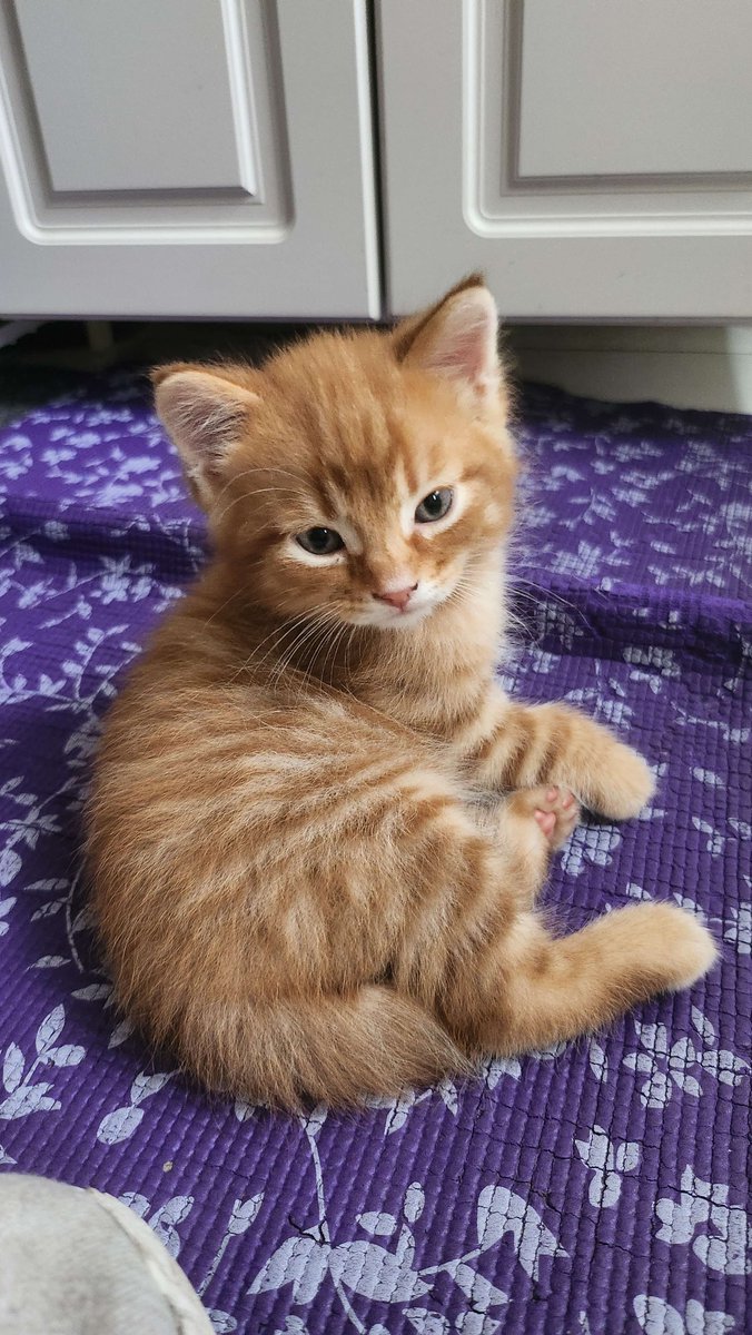 Jasmin Pärkkä tweet media