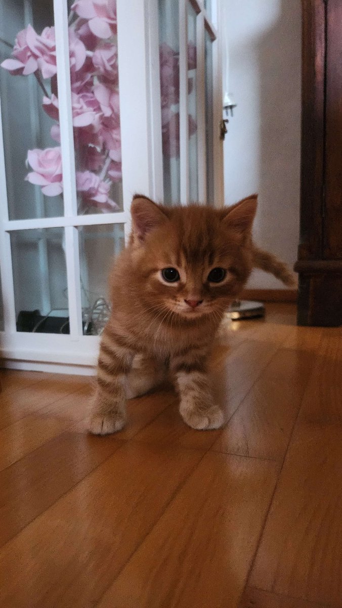 Jasmin Pärkkä tweet media