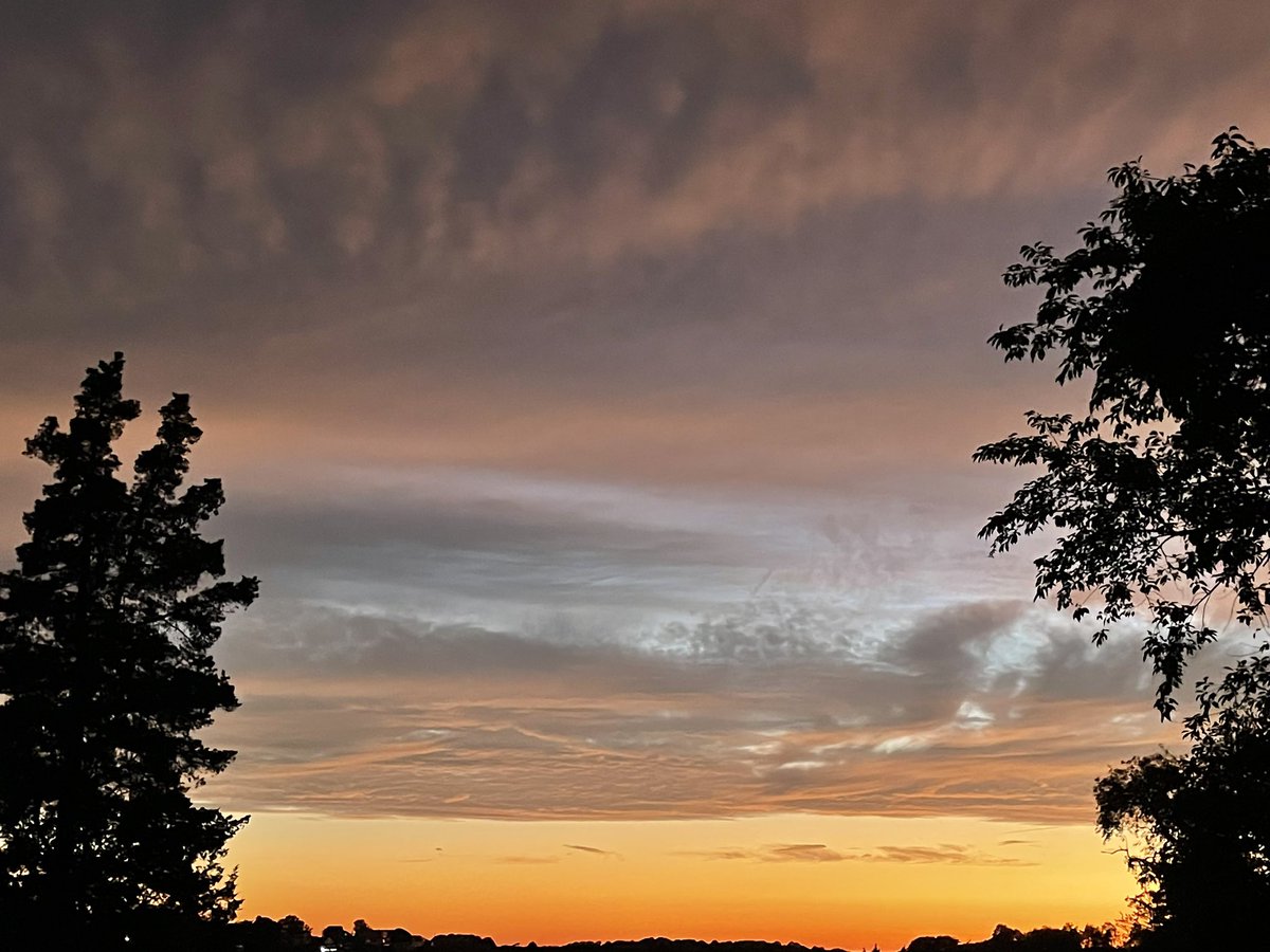 cynthia Barone tweet media