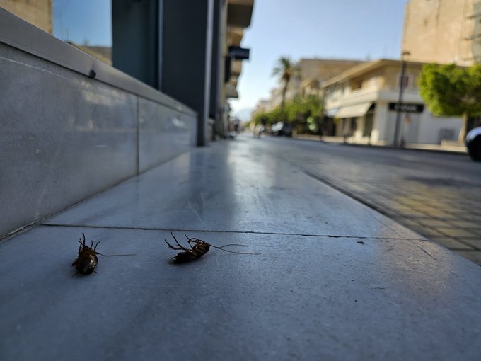 W tej Grecji to każdy by tylko leżał z nogami do g&oacute;ry. P&oacute;źniej zdziwieni, że trzeba pożyczać i kryzys