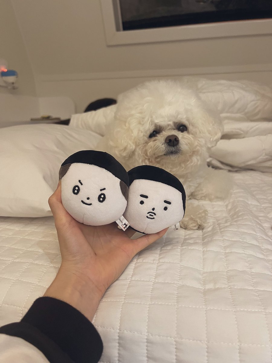 tokyo_imo's tweet photo. 데굴산왕~~ 우명 스트레스볼과 드디어 상봉🫶
진짜 말랑말랑 너무 좋아아아앟 https://t.co/pqCGJB2jxY