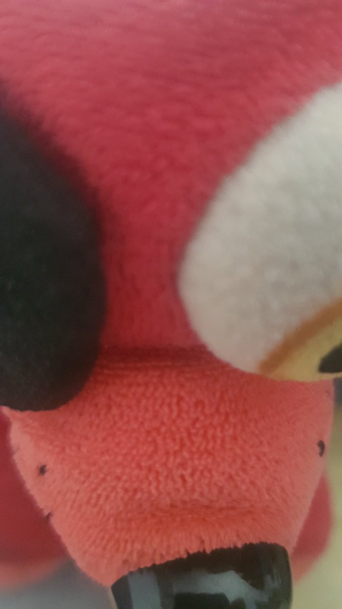 RandomPlushies's tweet photo. o https://t.co/pWfhrEn3Vd