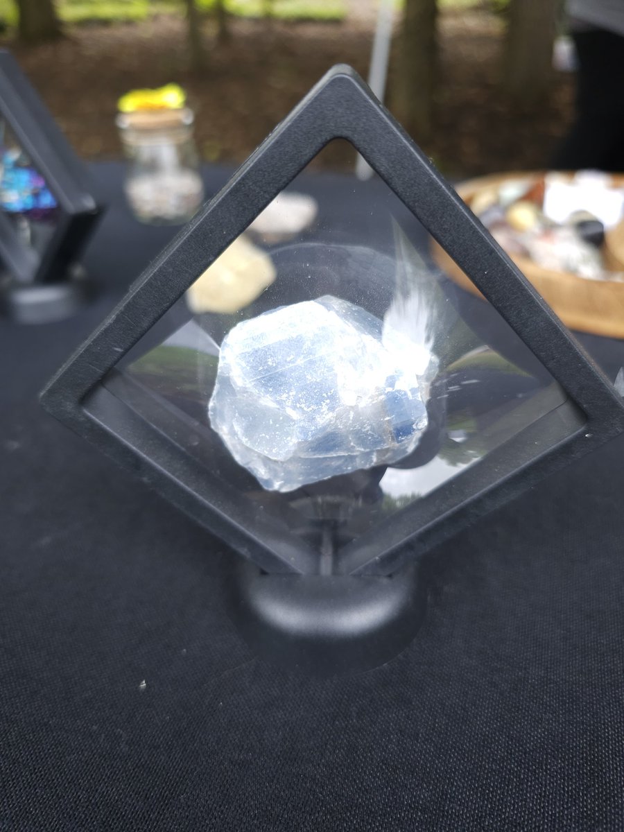 CutzCrystals's tweet photo. Today, we have crystals in display cases. 

In order, there are peacock ore,blue calcite,smokey quartz, and citrine.

If you are interested in any of our products, message us for details.

#crystal #crystals #shopnow #crystalshop #crystalbundle  #crystalhealing #crystallover https://t.co/XIvKLoPmEB