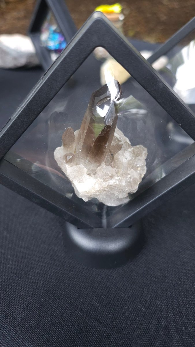 CutzCrystals's tweet photo. Today, we have crystals in display cases. 

In order, there are peacock ore,blue calcite,smokey quartz, and citrine.

If you are interested in any of our products, message us for details.

#crystal #crystals #shopnow #crystalshop #crystalbundle  #crystalhealing #crystallover https://t.co/XIvKLoPmEB