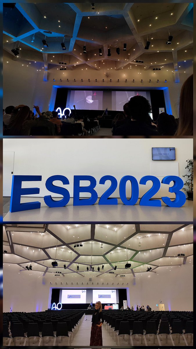 Camilla Marzuoli (@camillamarzuoli) on Twitter photo Last week I had the pleasure to give a talk in the inspiring context of @ESB2023.
Thanks to <a href="/eu_lionhearted/">Lion-Hearted</a> consortium and to the <a href="/ESBiomaterials/">European Society for Biomaterials</a> organizing committee for this amazing opportunity to connect and learn. 👩🏼🔬🌍 Last week I had the pleasure to give a talk in the inspiring context of @ESB2023.
Thanks to <a href="/eu_lionhearted/">Lion-Hearted</a> consortium and to the <a href="/ESBiomaterials/">European Society for Biomaterials</a> organizing committee for this amazing opportunity to connect and learn. 👩🏼🔬🌍