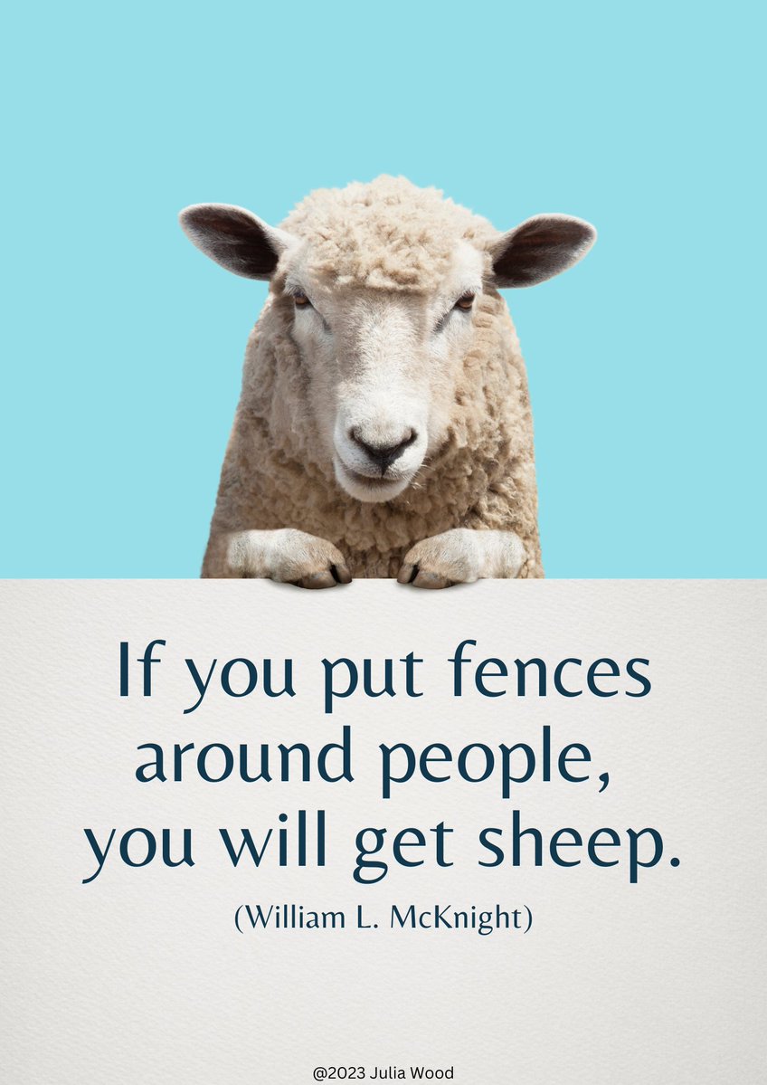 Julia Wood tweet media