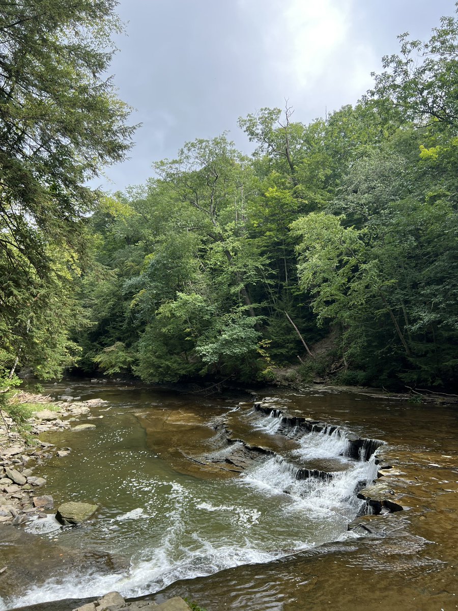 maryanaDCL's tweet photo. Proof of waterfalls 💧

Don’t forget to touch grass, since winter is slowly approaching ❄️ 

Reply how you are touching grass this weekend😊

📍 Double Decker Falls, Bentleyville, OH
#clevelandmetroparks https://t.co/zS4k2DGqsR