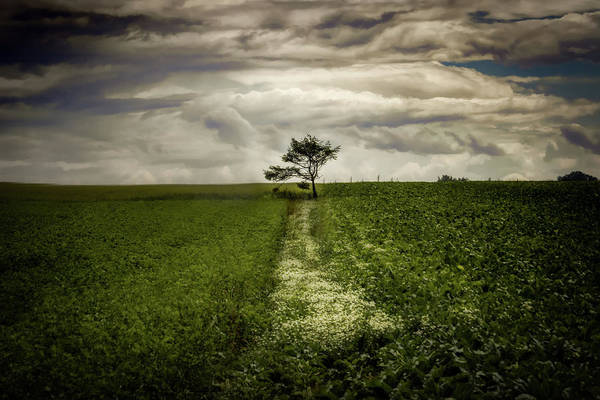 nbrandsberg's tweet photo. One lone tree on a farm in Normandy, France with wildflowers leading the eye to the tree:
https://t.co/Y7XCVI8hUQ
More art: https://t.co/gatFnnyf4h
#normandy #normandyfrance #onetree #farmtree #frenchtree #frenchtree #frenchnature #art4mom #AYearforArt #landscapephotography https://t.co/dQvLzXVsS2