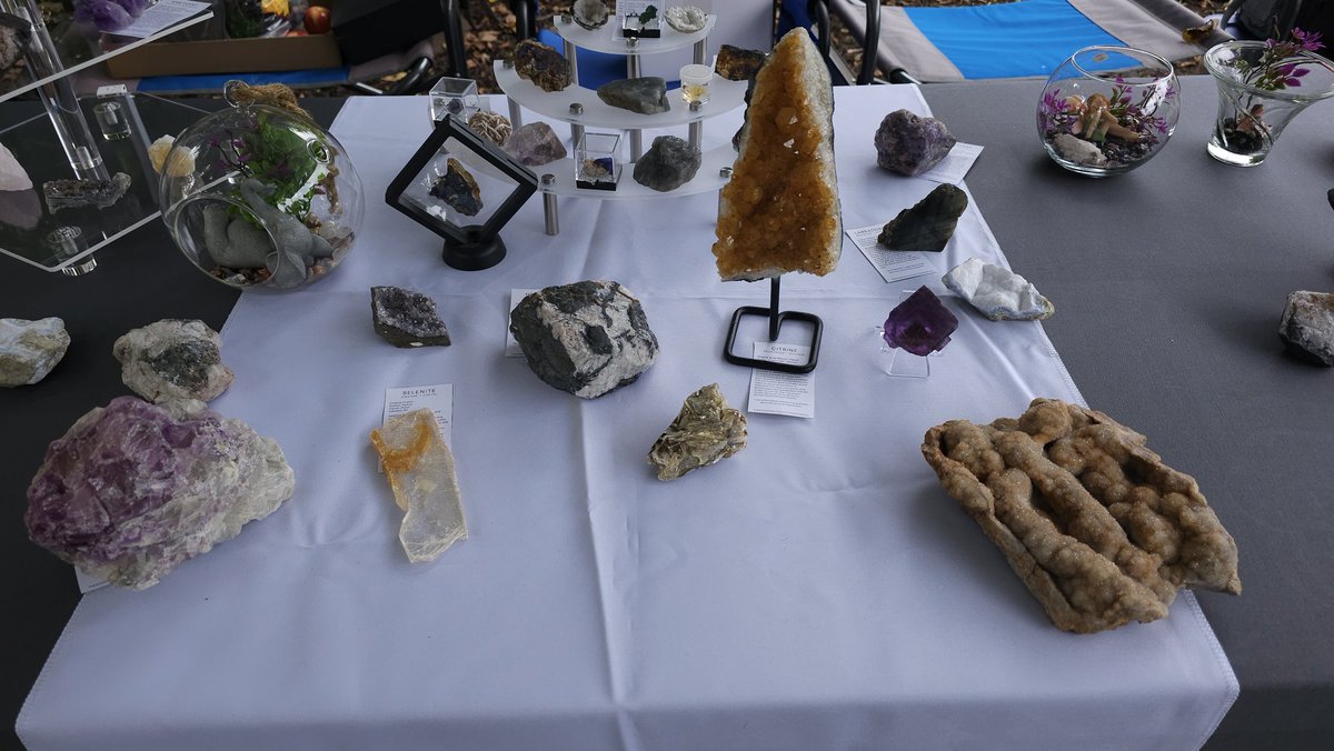 CutzCrystals's tweet photo. Our selection for today's showing. 

If you see anything that catches your eye, feel free to reach out to us to ask your questions!

#crystal #crystals #shopnow #crystalshop #crystalbundle  #crystalhealing #crystallover https://t.co/AmAAYx5n0u