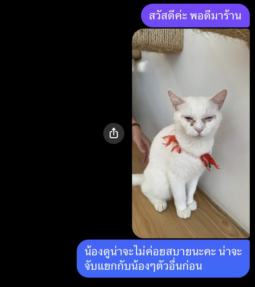 ฉันเป็นสาวออฟฟิศ ตากลม ผมยาว tweet media