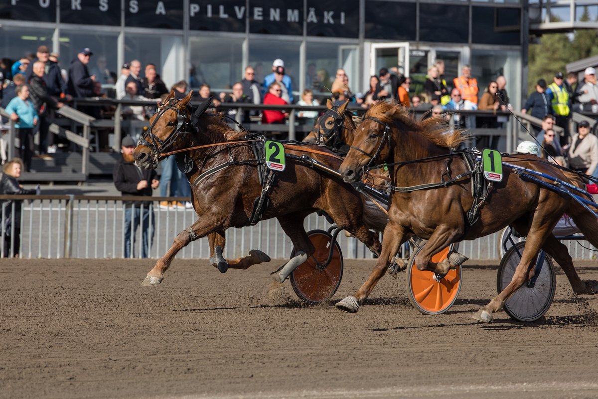Kavioliiga-ravit, lämminveristen Tammavaltikka ja suomenhevosten Pilvenmäki Special -finaali kilpailtiin tänään Forssan Pilvenmäellä.

🥇 Parvelan Retu
🥇 Williamsburg
🥇 Hurman Viesker
🥇 Free Unique
🥇 Villiheila
🥇 Mandela Zon
🥇 True Devotion

📷: Moona Mäntyvaara