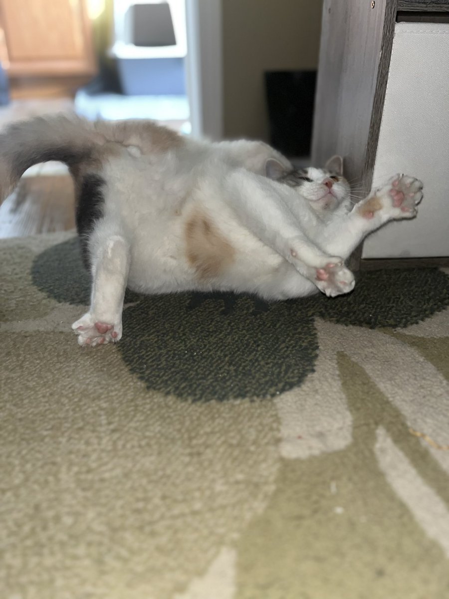 samantha tweet media