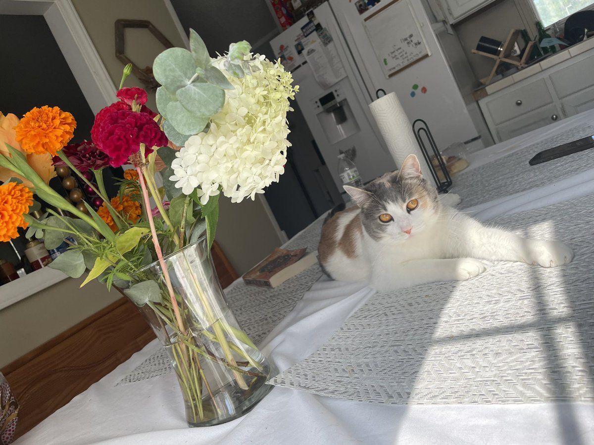 samantha tweet media