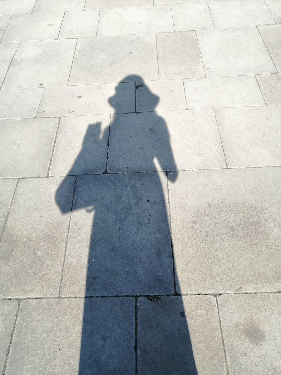 TFFCarol's tweet photo. did you see me ? https://t.co/l987MwPRAF