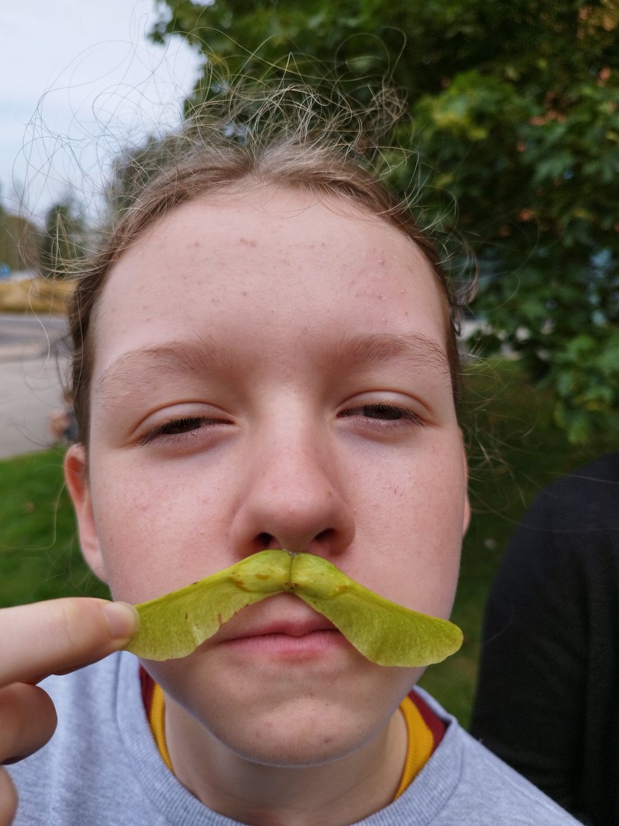 philshep73's tweet photo. @TaskmasterEdu #Tashmaster #TaskmasterEducation Ella Shepherd's sycamore tash https://t.co/vEaWuG5qd4