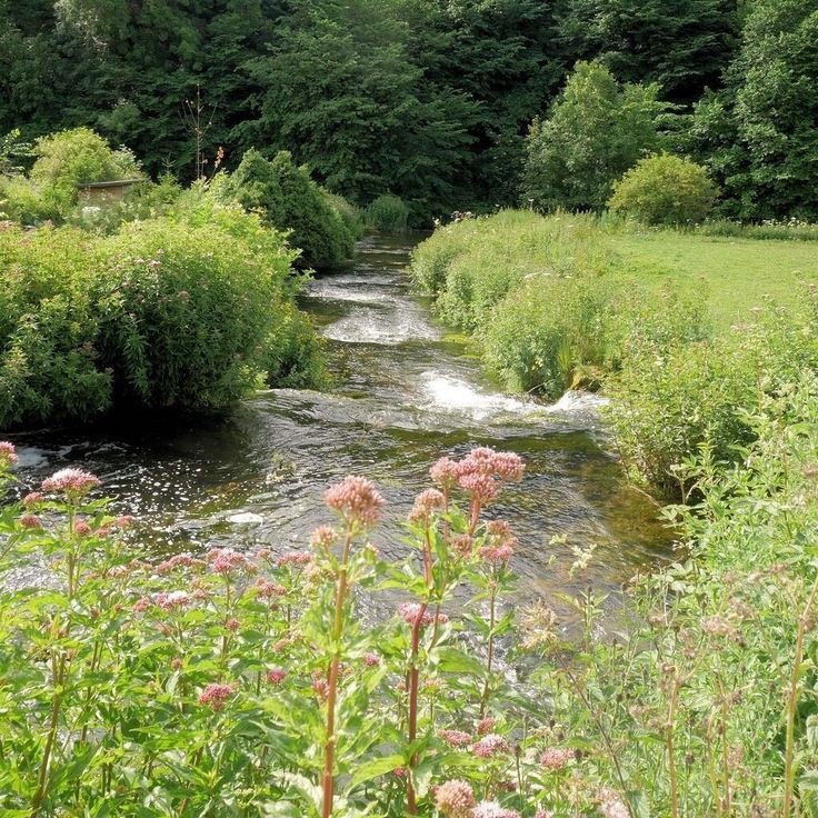 prttyfaces's tweet image. 