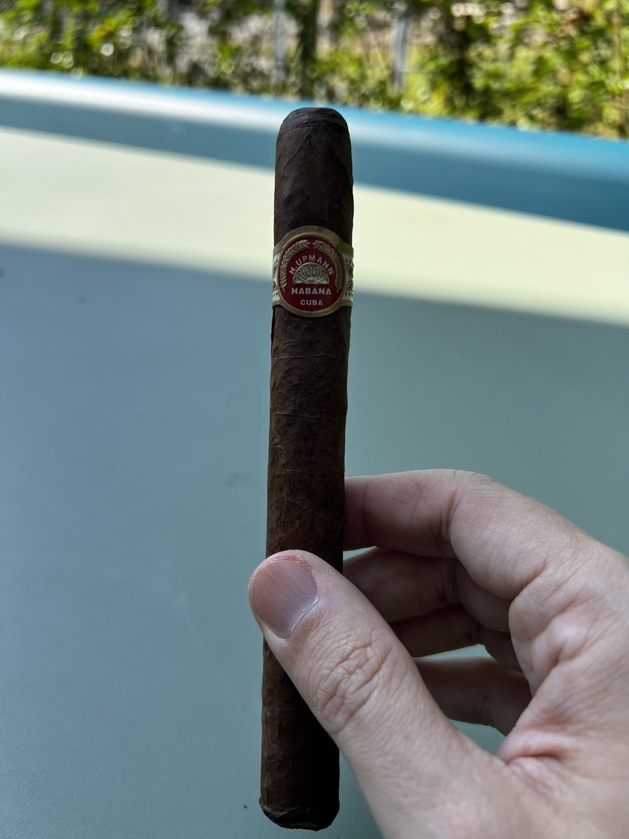 BaederLars's tweet photo. Sunny Saturday with a splendid Sir Winston #habanos #Upmann https://t.co/lH1HZf8wUy