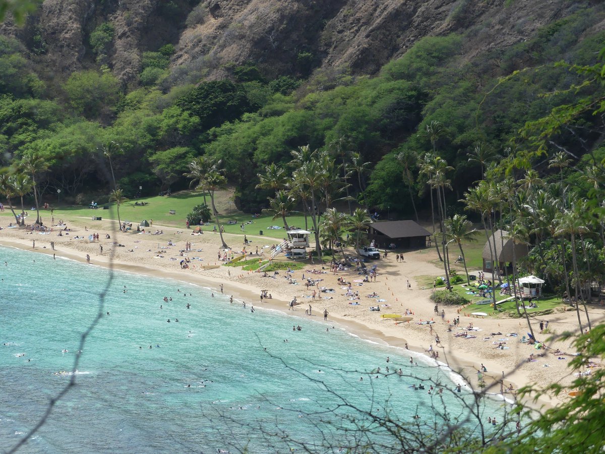 AlohaIndigoGirl's tweet photo. If you catch me smiling today,
it's because I'm imagining I'm here. ๐
#hawaii #oahu #welovehawaii #missinghawaii #travel #travelphotography https://t.co/zPREkLhMQl