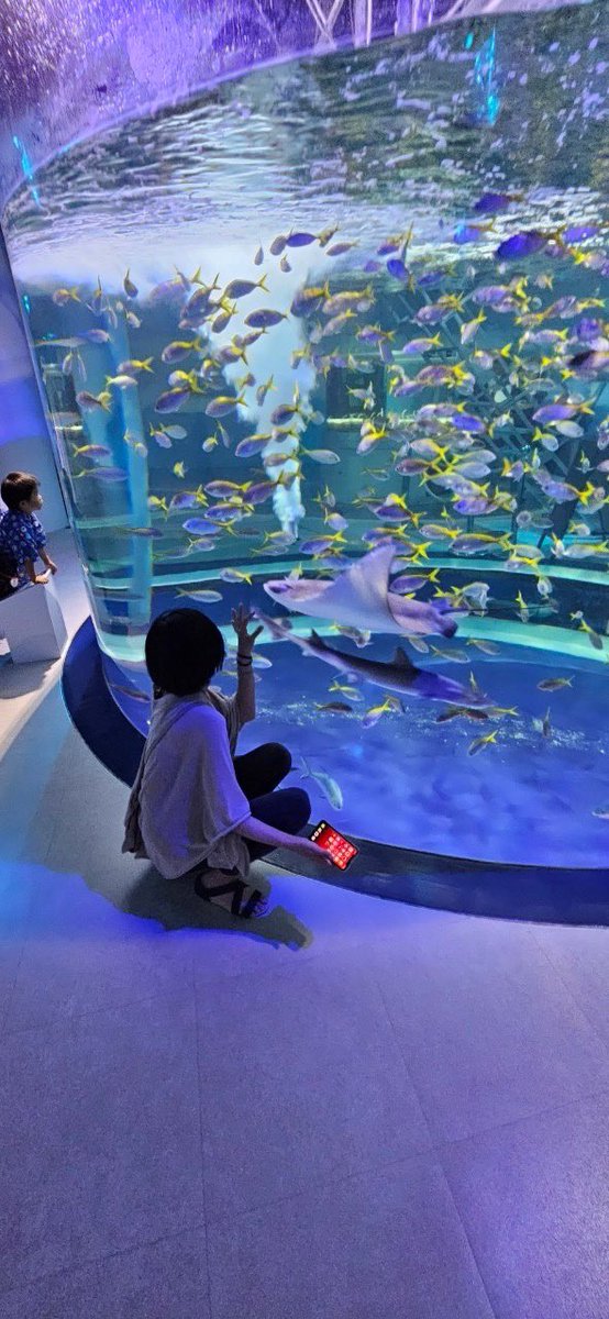 aimerEnvy's tweet photo. 一泊2日の京都！
伏見稲荷神社〜錦市場で食べ歩き〜神戸の水族館〜
リンツの���リンクはうますぎて
水族館は綺麗すぎたー
楽しかったです！ありがとう😊 https://t.co/HjKh87HDZy