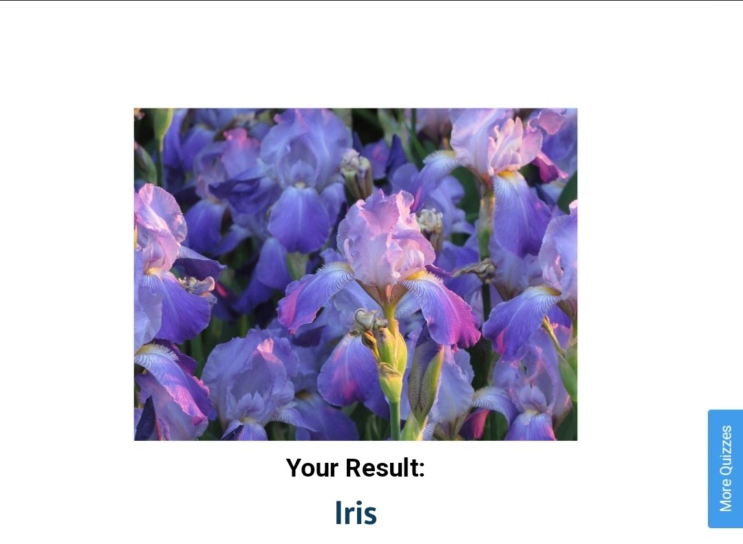 𖤐⭒๋࣭ ⭑ tweet media