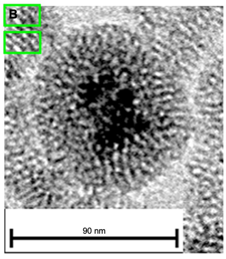 MicrobiomDigest's tweet photo. "An error during the preparation of Figure S1 for publishing led to the inadvertent creation of a duplicate region in figure part S1B on page 4622."
#inadvertent rearrangement of pixels?
https://t.co/WQPOsPT8ql https://t.co/VKyYTVTvkD