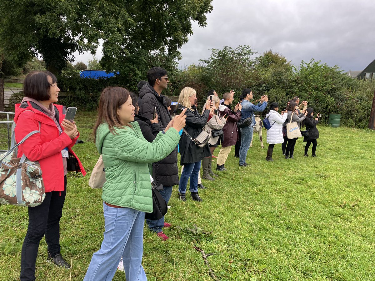 marleneglenhest's tweet photo. Global Inbound Buyers experience a fraction of things to see and do today #causey farm ⁦@Failte_Ireland⁩ ⁦@IrelandAncient⁩ https://t.co/2ozvLtn6lK