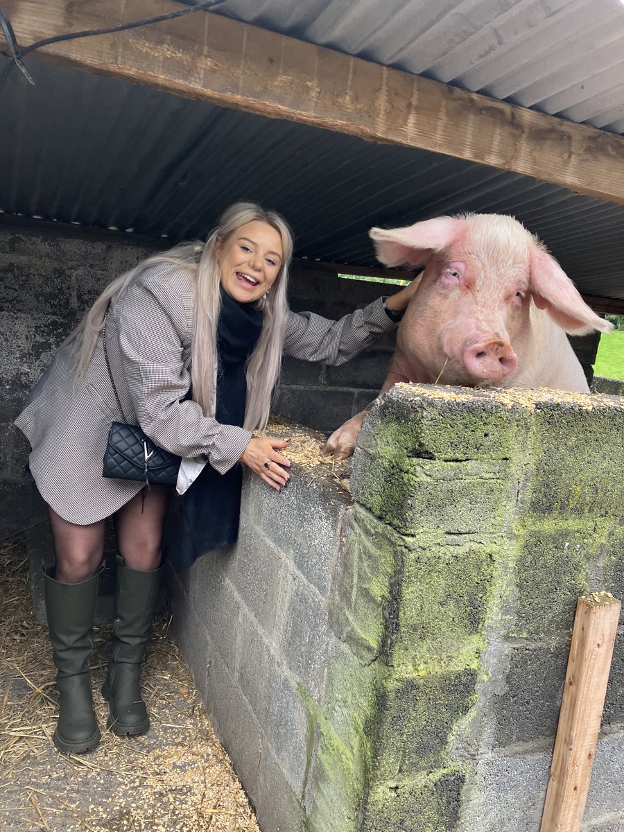 marleneglenhest's tweet photo. Global Inbound Buyers experience a fraction of things to see and do today #causey farm ⁦@Failte_Ireland⁩ ⁦@IrelandAncient⁩ https://t.co/2ozvLtn6lK