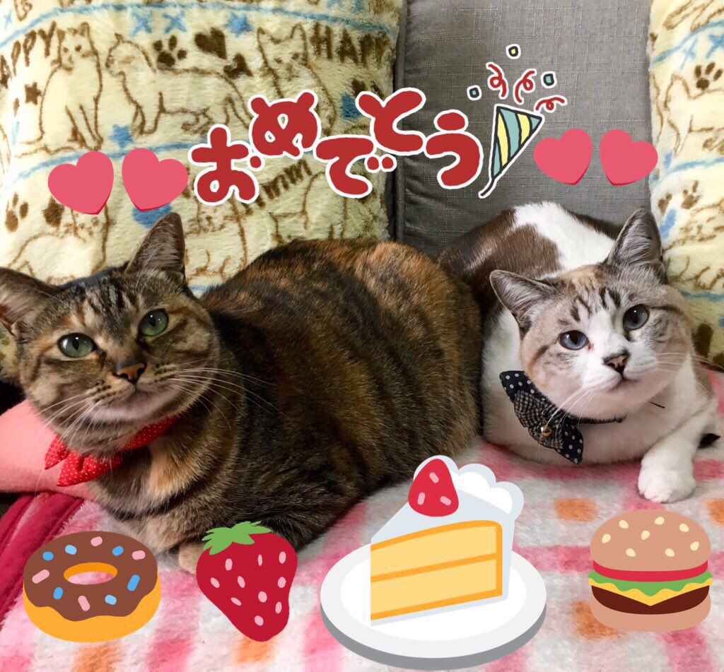 tsumuginyan's tweet photo. @SPYRAL16 摩天楼オシャレさんお誕生日おめでとうございます🎉 https://t.co/nvzdJpbc4Z
