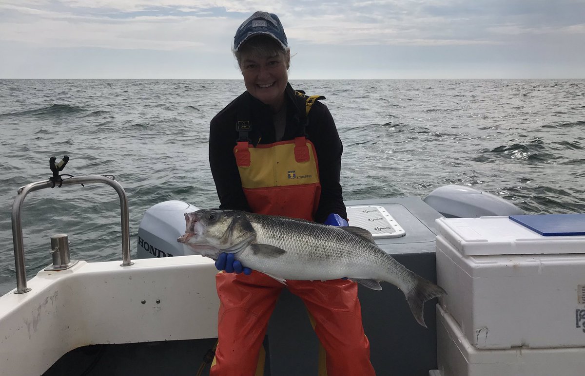 HappyHooker1157's tweet photo. Few photo’s from today’s fishing adventures 🎣

First fish of the day an 8lb Bass 😊then almost last drift a 10lb one 
Grumps loves hearing me saying those 4 words..........get the big net 😜😂
#Bass #linecaught #sustainable #HappyHooker https://t.co/XSApjZlUoV