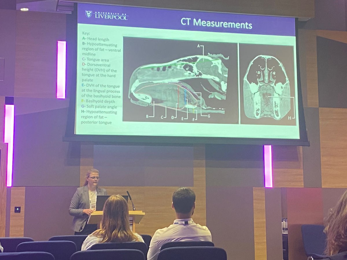 Congratulations to Hannah Shanks-Boon, one of our BVSc students @LivUni_IVES who presented her 3rd year research project on Computed Tomography of the equine head at the prestigious British Equine Veterinary Association congress @BEVA_news. Well done Hannah! 😊👏⭐️