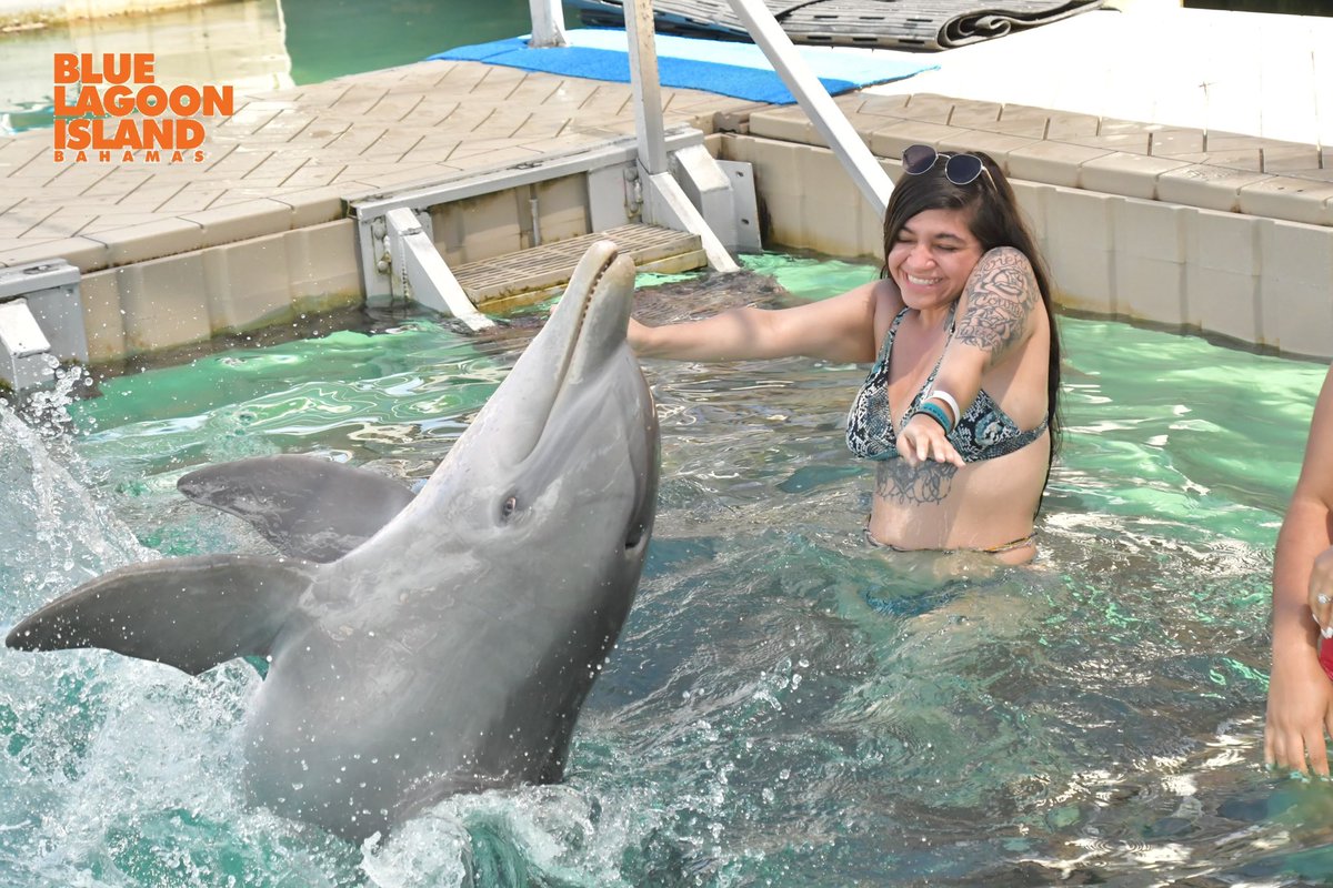 _MissWine's tweet photo. if you want to make me this happy. follow my twitch, I show love back double tap !! #roadto1k #twitchaffiliate #twitchstreamer #irl #forthevybez #ftv #pacosperspective #life #love #bahamas #Dolphins #fun #smile #network https://t.co/iFRdxIDZj8