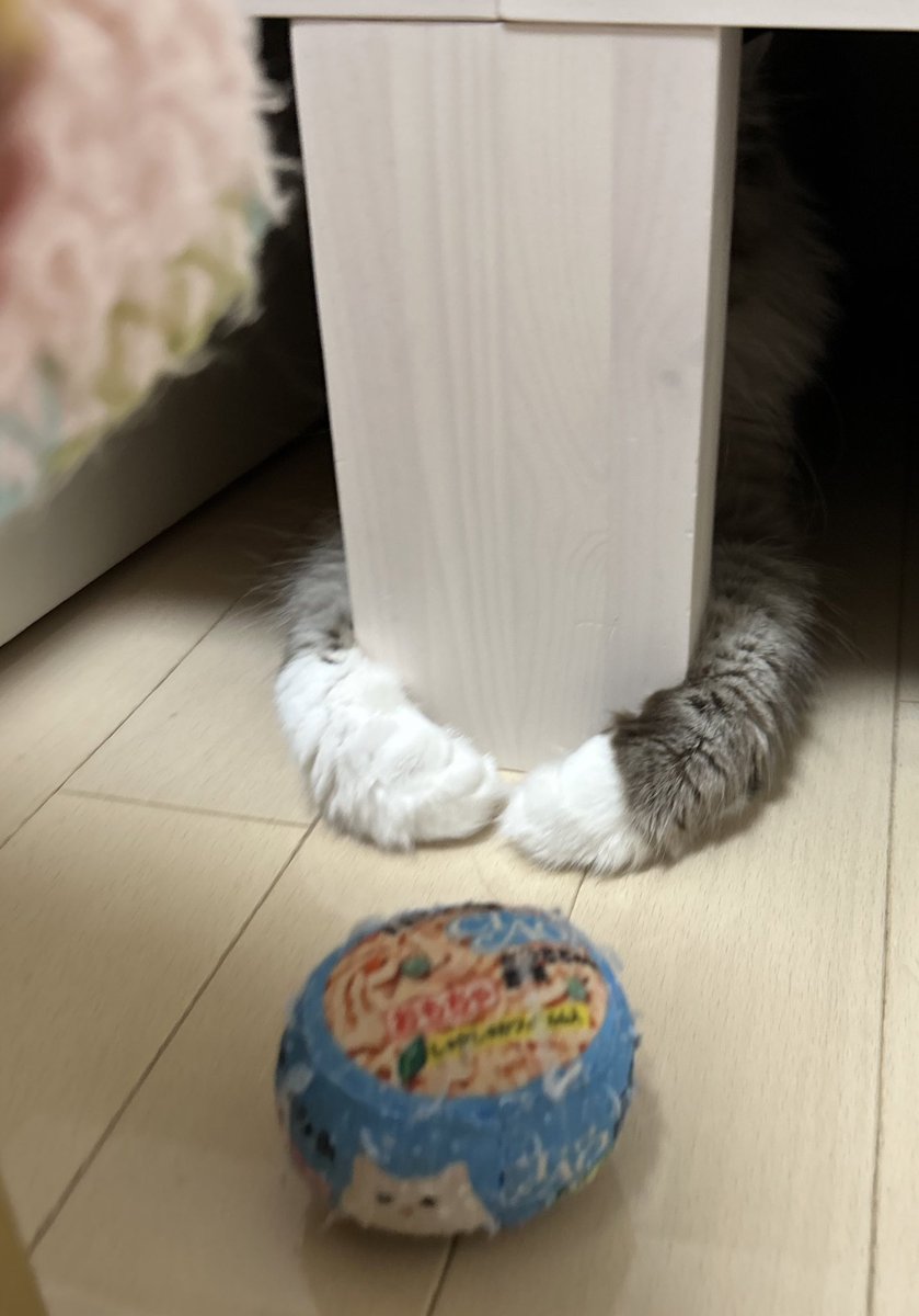 cottanien's tweet photo. @floatingcat6 私も1番下の真ん中の写真が
大好きで…🤤💖 https://t.co/iRclii3D8Y