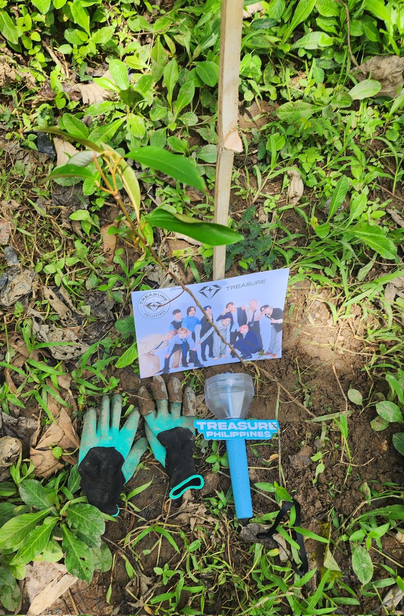 🍃 Sibol Pt. 2 🌳

As YG Entertainment and its artists are committed to protecting the environment, we fans, will not only support our favorites but will also conserve the environment in ways that we can. 

500 Fruit Trees were planted through this activity. This definitely won't