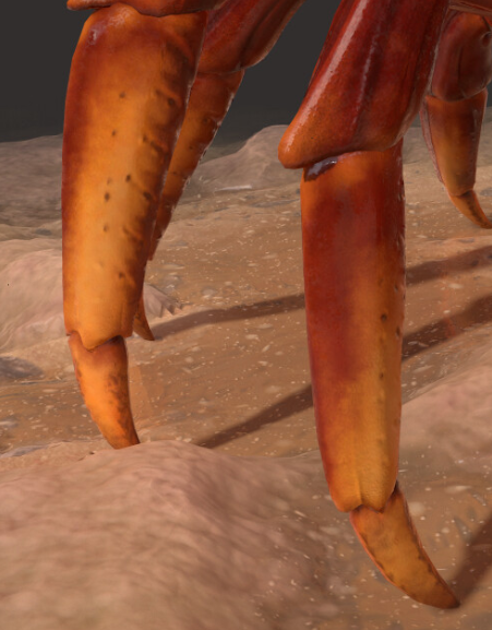 SirXiphos's tweet photo. @SmKiaron Here have Crab feet https://t.co/bpFzTTw5fq