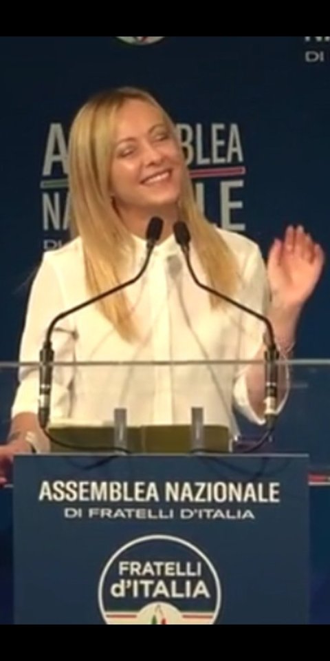 gigi tweet media
