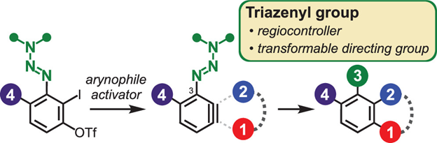 JOC_OL's tweet photo. What a hard-working group! Arynes with a transformable &amp; ortho-functionalizable triazenyl at the 3-position react regioselectively with arynophiles to afford multisubstituted aromatics easily. Check it out in #OrgLett, from Hosoya and colleagues: https://t.co/pqQiLrbP3V https://t.co/azAJ5OQIda