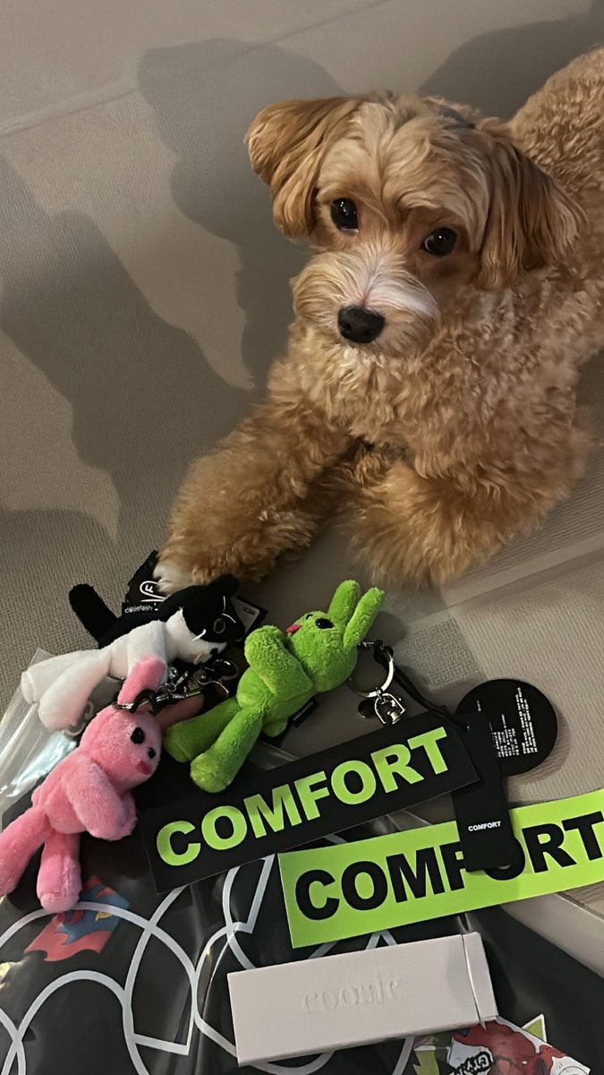 Thank you @𝘤𝘰𝘮𝘧𝘰𝘳𝘵.𝘴𝘦𝘰𝘶𝘭 for the adorable stuff! 💚