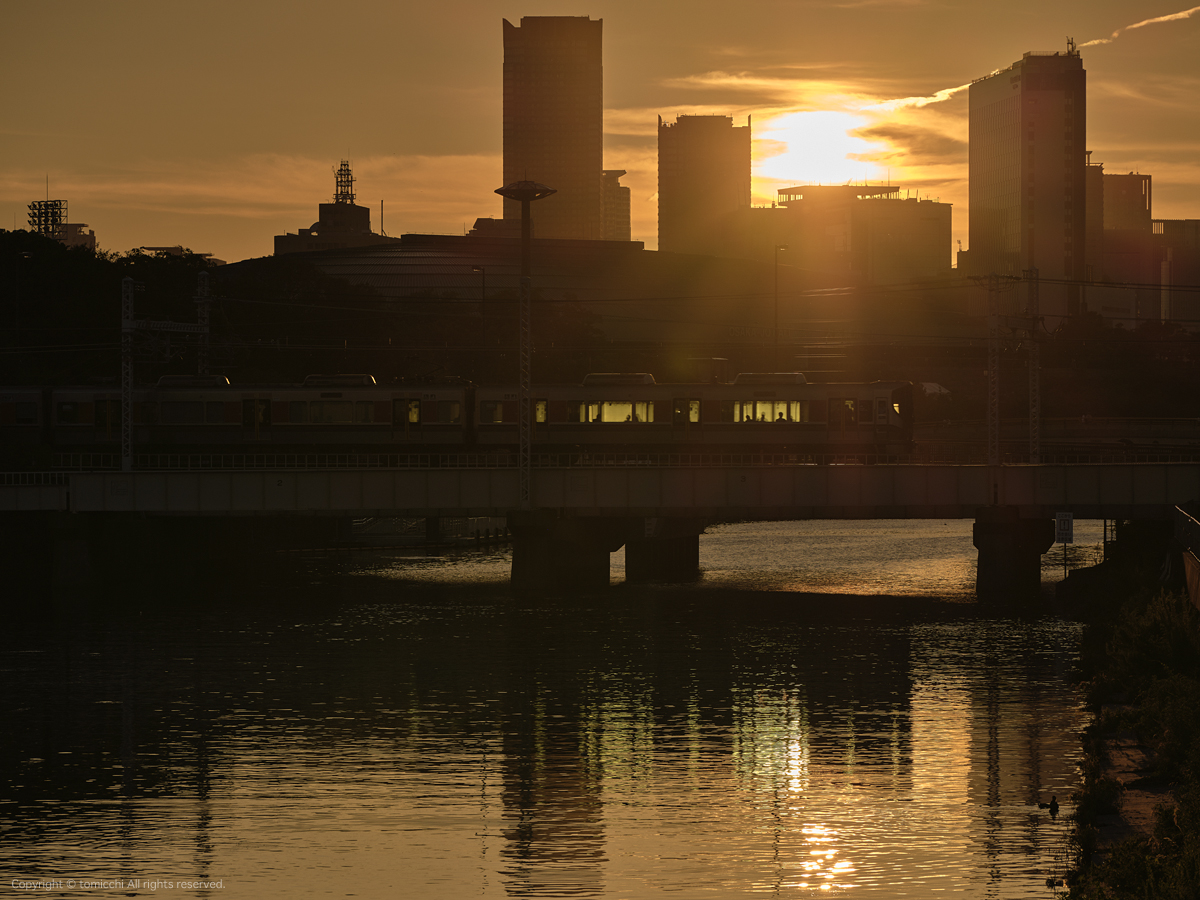 tomicchi1293's tweet photo. 今日の夕暮れ
#Osaka #第二寝屋川 #JR #大阪環状線 #FUJIFILM #gfx100s #gf100200 #ProNegStd #fujifilm_xseries https://t.co/Nx5lJ9DgZr