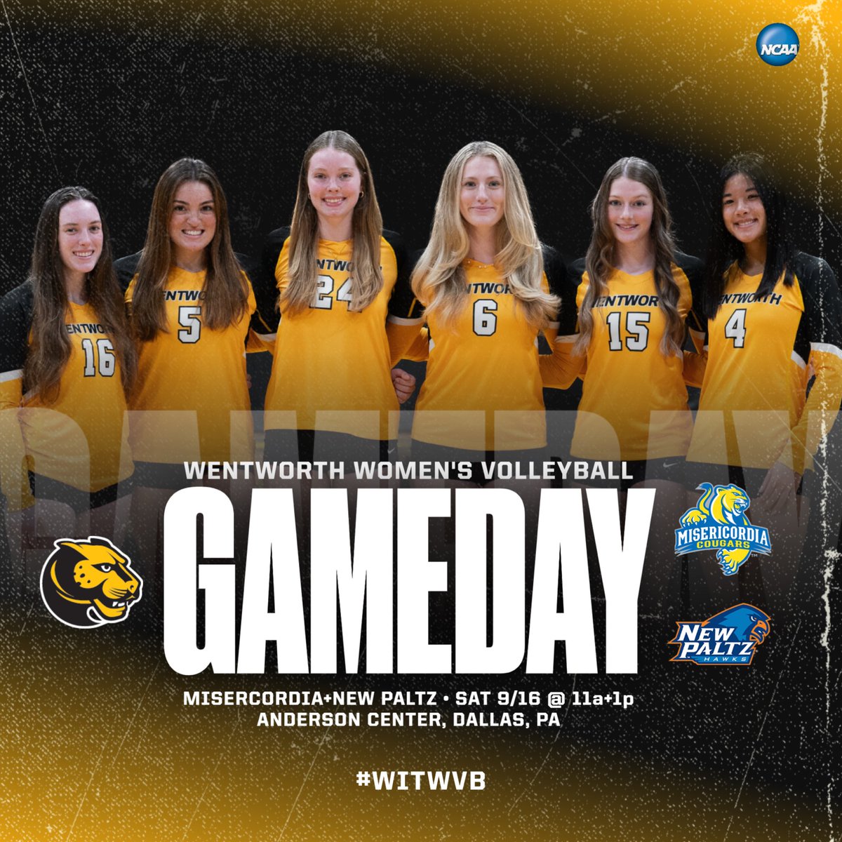 WITwvb's tweet photo. Day ✌️of the Cougar Clash 🐾
📍Anderson Center, Dallas, PA
⏰ 11am + 1pm
🆚 Misericordia + New Paltz
📊 https://t.co/0P9Db0ICsi
•
#witwvb #wentworth #womeninstem #volleyball #collegevolleyball #ncaavolleyball #womensvolleyball #boston #d3vb #whyd3 #diii #nonconference https://t.co/xDHPrf2kkW