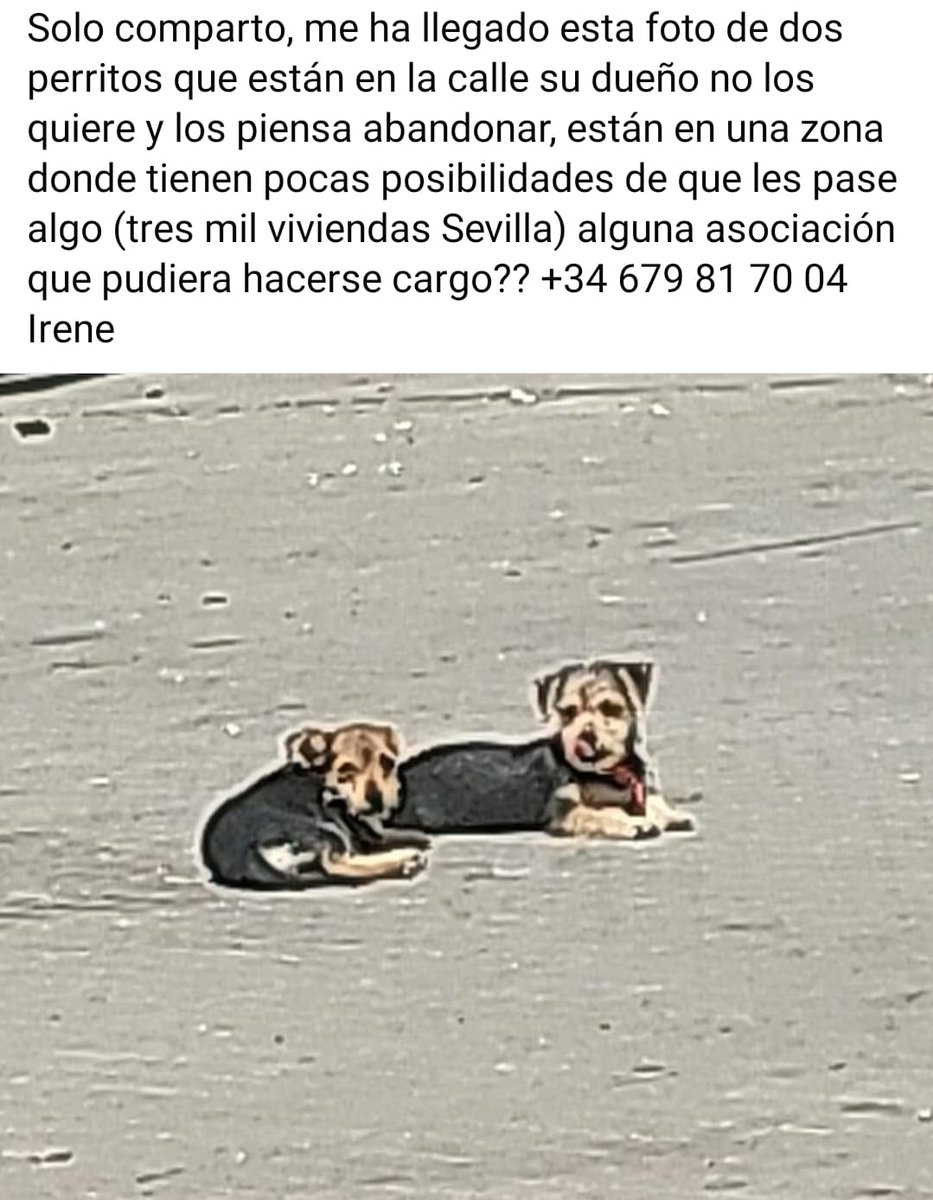 Difundo