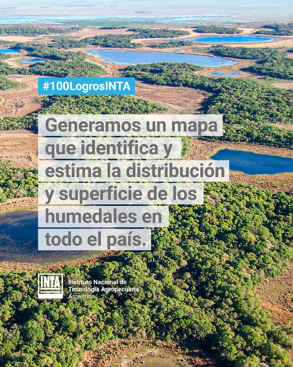 intaargentina's tweet photo. A través de imágenes satelitales, relevamientos a campo y algoritmos basados en inteligencia artificial (IA), generamos un mapa que muestra dónde se distribuyen los humedales de Argentina. 

#100LogrosINTA #INTAesCompromiso https://t.co/RtTFTzrD9B