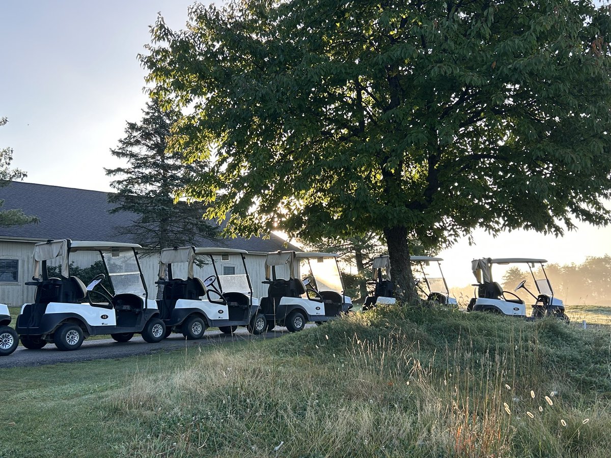 Oak Shadows G. C. tweet media