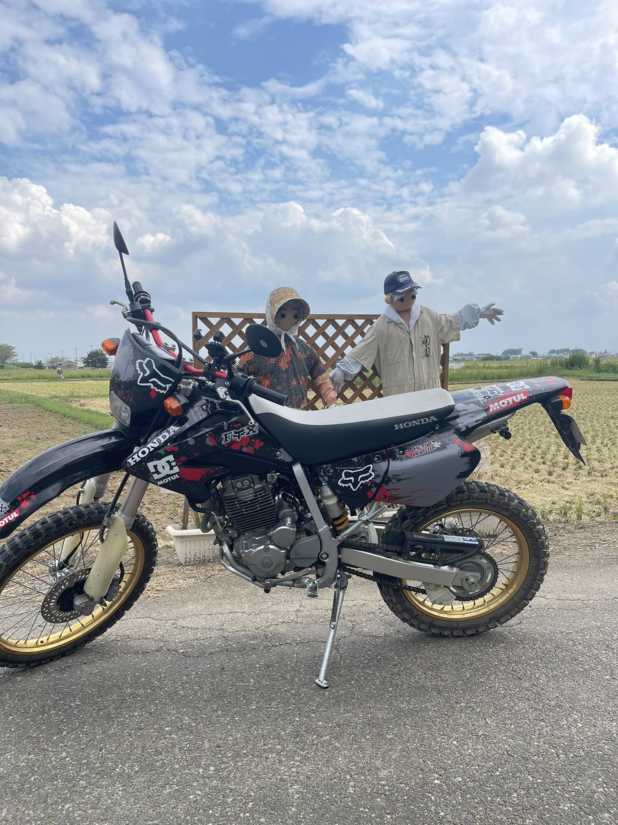 りえ#55 (@rie55_) / Posts / X