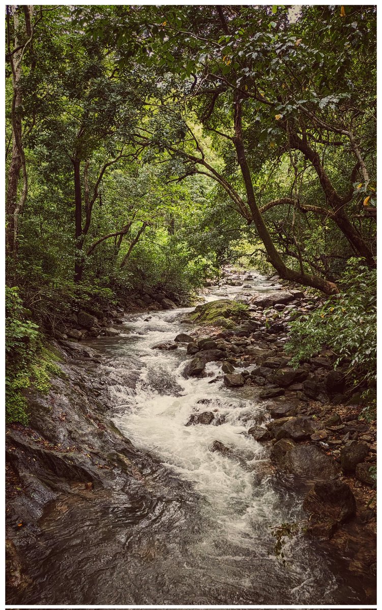Nanimuroor's tweet photo. Western Ghats never disappoint you during the monsoon season #westenghats #karnataka #uttarakannada #kumta https://t.co/88MHnViOZI