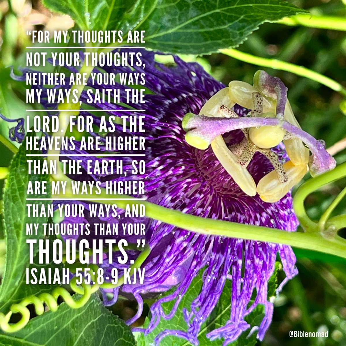 BibleNomad's tweet photo. “For my thoughts are not your thoughts, neither are your ways my ways, saith the LORD. For as the heavens are higher than the earth, so are my ways higher than your ways, and my thoughts than your thoughts.”
Isaiah 55:8-9 KJV

#thoughts #trust #faith https://t.co/v3KDiFJiah
