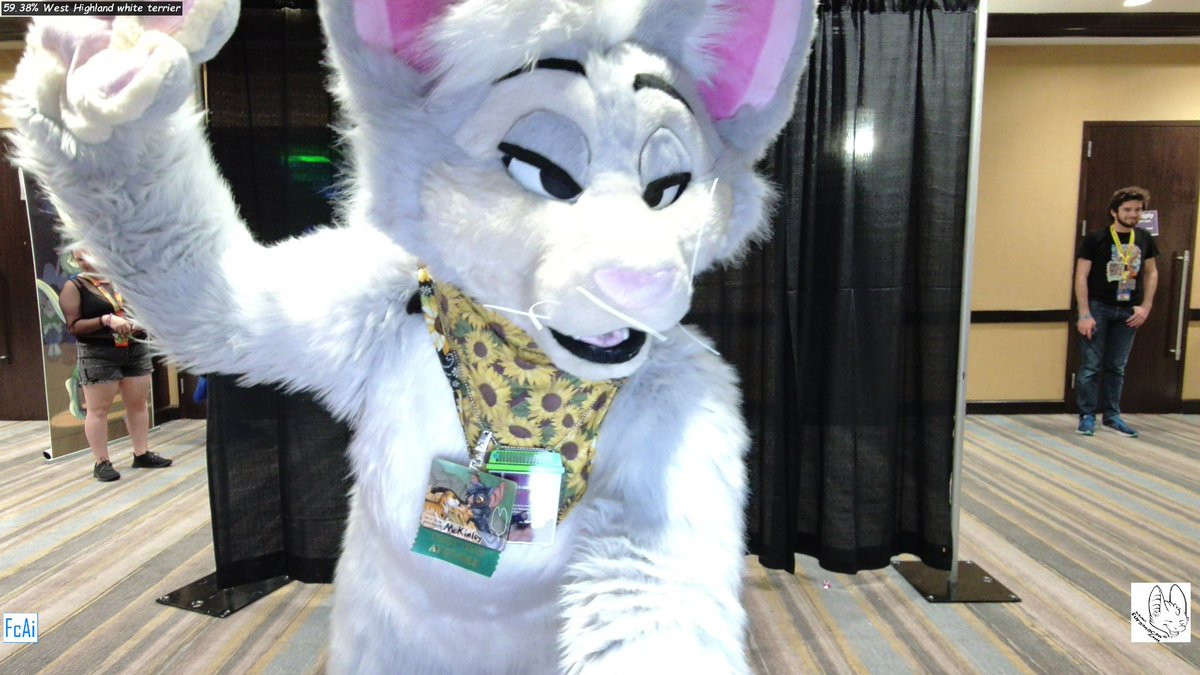 Splvshcat's tweet image. Instructions unclear, AI could not properly identify cat 

📸@FurConAI 
#FSC2023