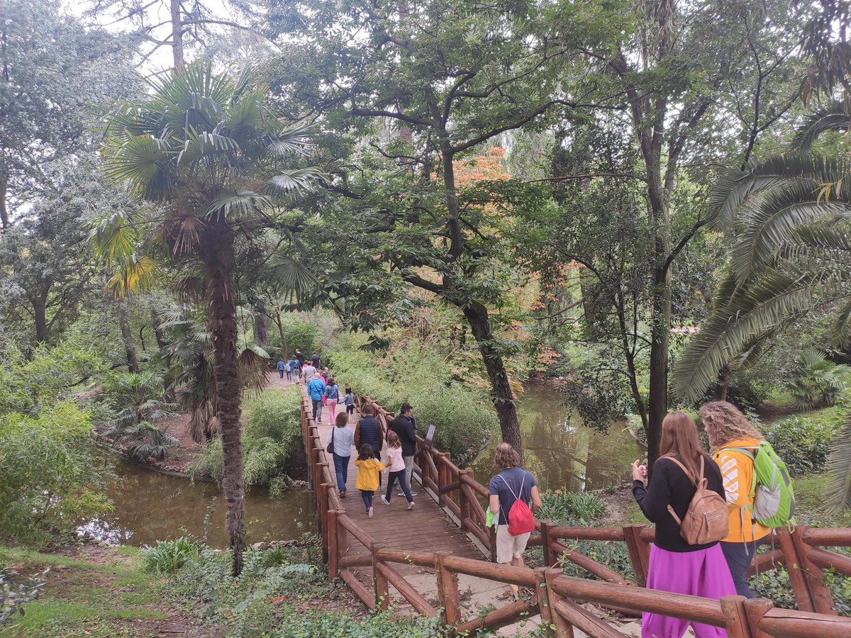 SEReumatologia's tweet image. Una gran jornada la que hemos disfrutado esta mañana con @anadejudmj y los participantes a la Mini-senda para niños con #DMJ y #AIJ y sus familias. Naturaleza, Reumatología, magia y muchas risas!